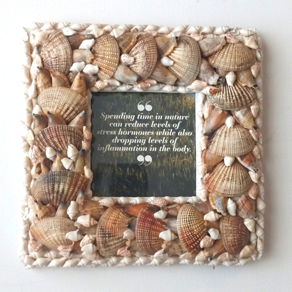 Shells Genuine Picture Frame